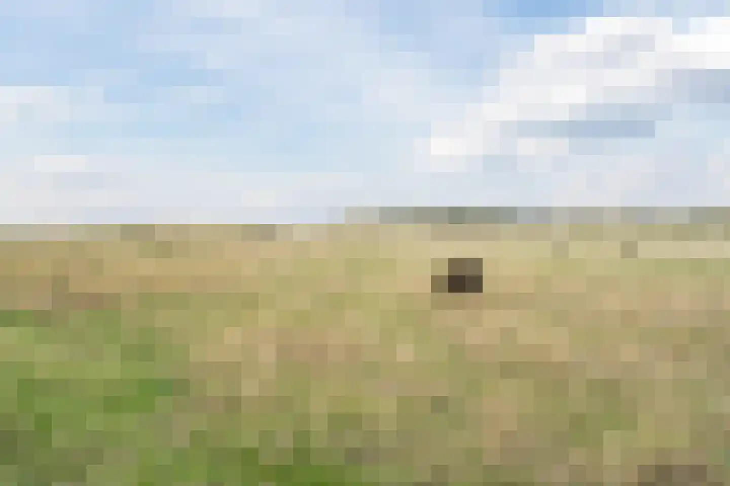 Rijnmond 32 Katwijk thumbnail 71