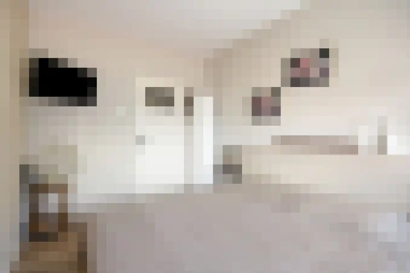 Rijnmond 4 Katwijk thumbnail 20