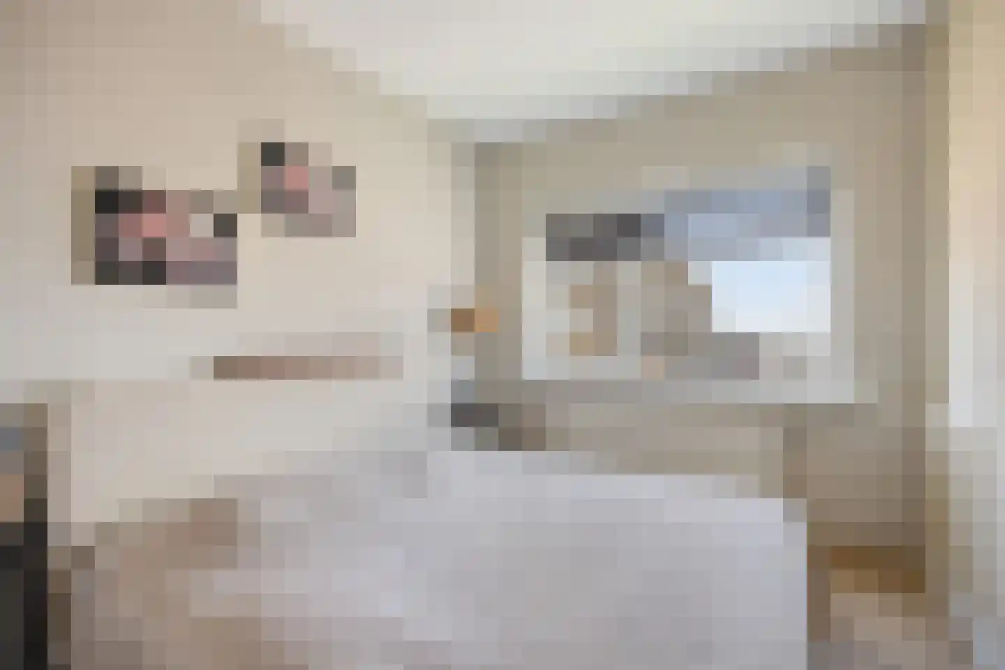 Rijnmond 4 Katwijk thumbnail 5