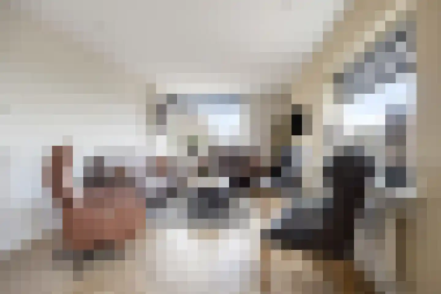 Rijnmond 4 Katwijk thumbnail 9