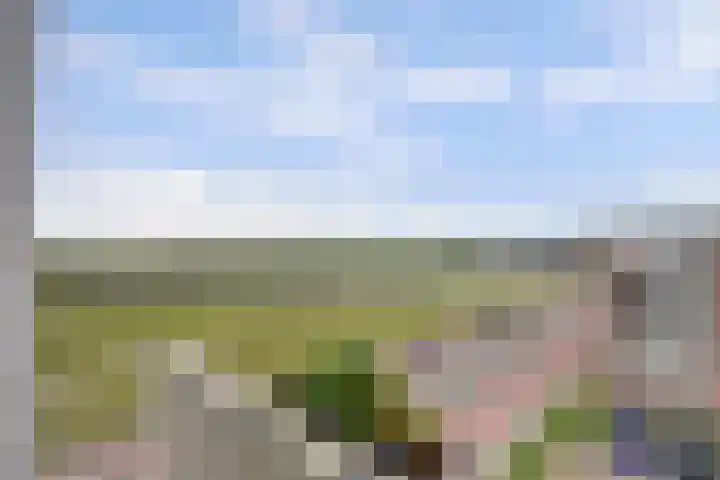 Rijnmond 42 Katwijk thumbnail 30