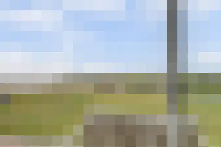 Rijnmond 42 Katwijk thumbnail 32