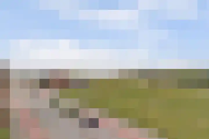 Rijnmond 42 Katwijk thumbnail 33