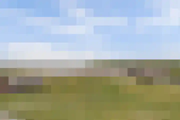 Rijnmond 42 Katwijk thumbnail 34