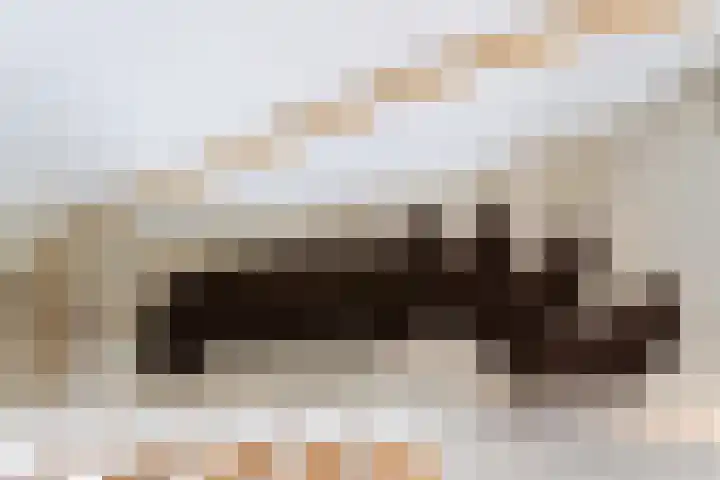 Rijnpolder 27 Houten thumbnail 18