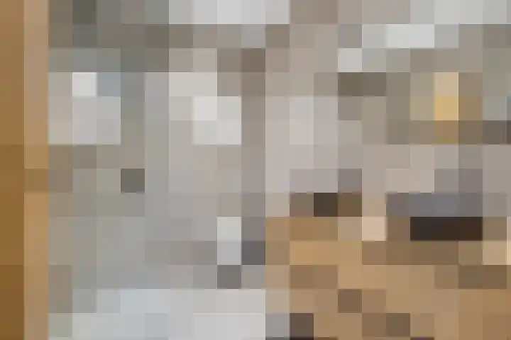 Rijnpolder 27 Houten thumbnail 25