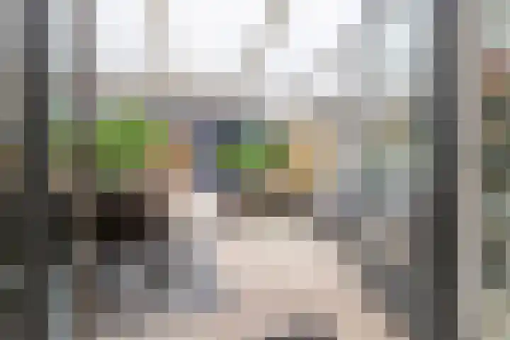 Rijnpolder 27 Houten thumbnail 35