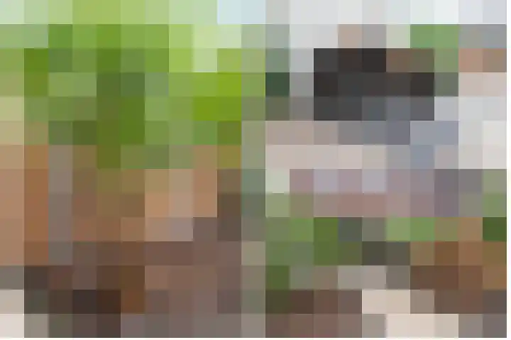 Rijnpolder 27 Houten thumbnail 41