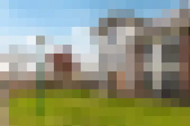 Rijnpolder 56 Houten thumbnail 4