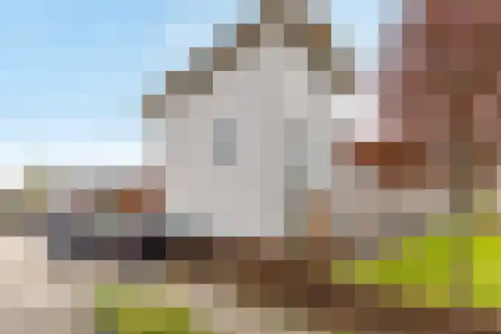 Rijnpolder 56 Houten thumbnail 5