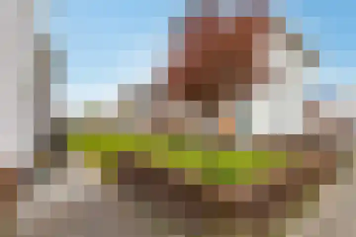 Rijnpolder 56 Houten thumbnail 57