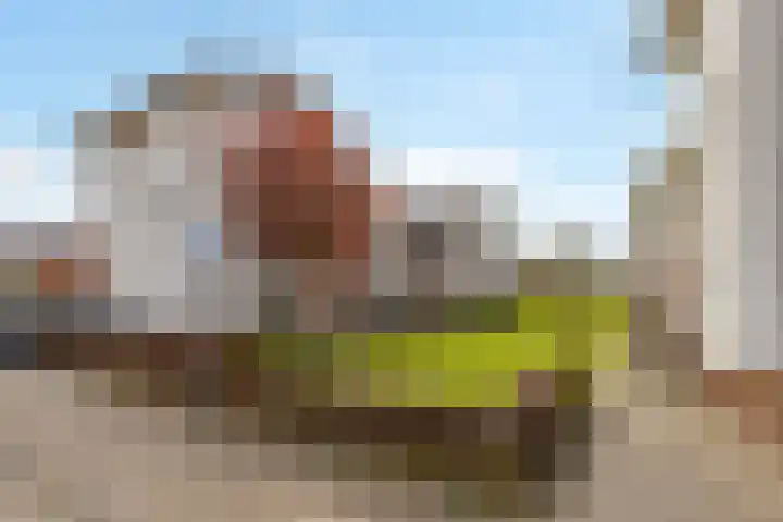 Rijnpolder 56 Houten thumbnail 60