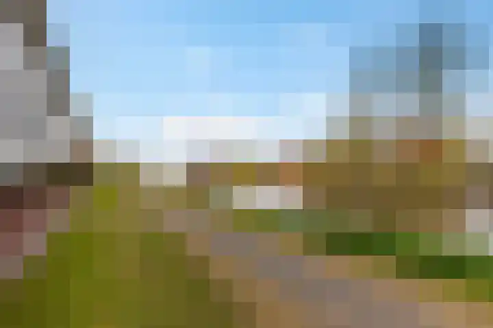 Rijnpolder 56 Houten thumbnail 65