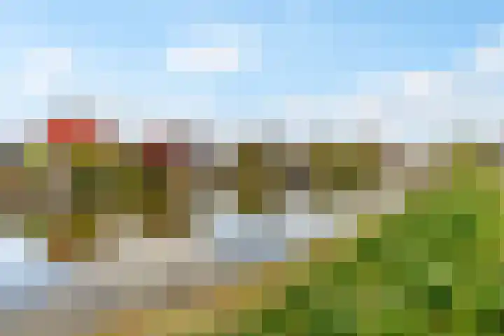 Rijnpolder 56 Houten thumbnail 66
