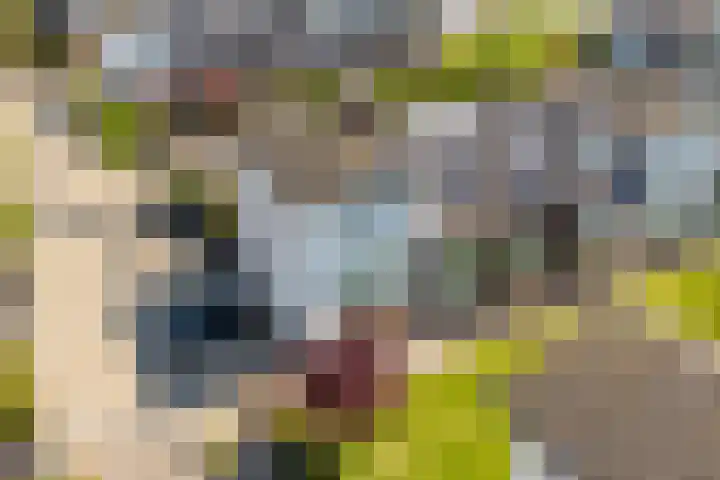 Rijnpolder 56 Houten thumbnail 73