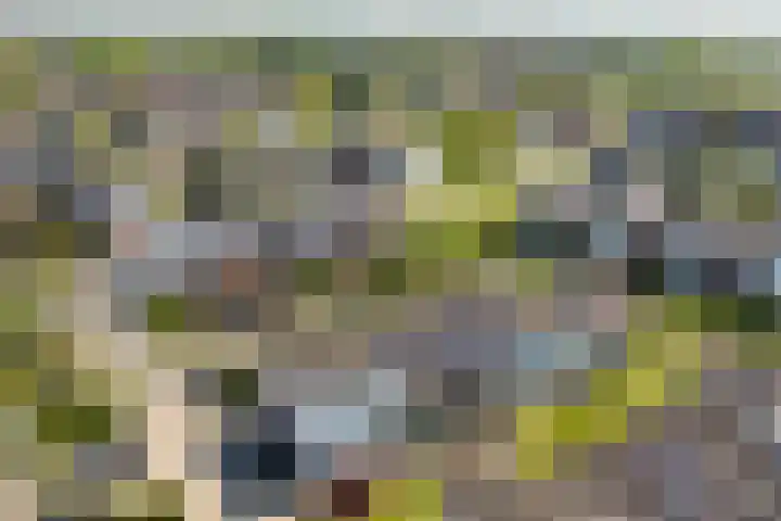 Rijnpolder 56 Houten thumbnail 74