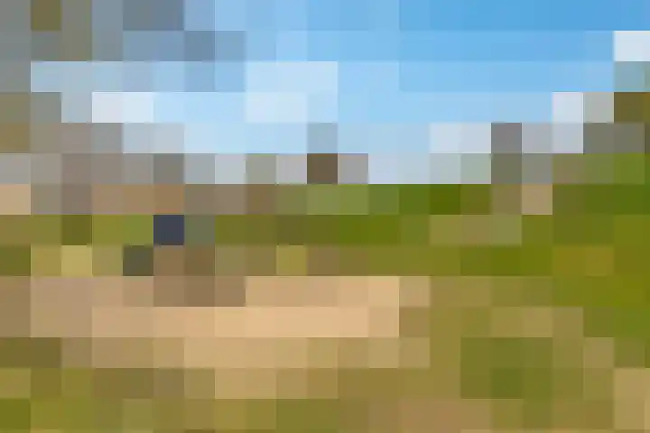 Rijnpolder 56 Houten thumbnail 76