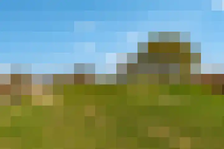 Rijnpolder 56 Houten thumbnail 77