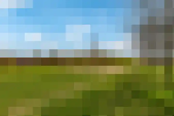 Rijnpolder 56 Houten thumbnail 78