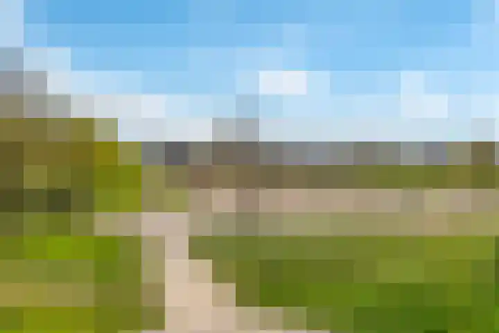 Rijnpolder 56 Houten thumbnail 79