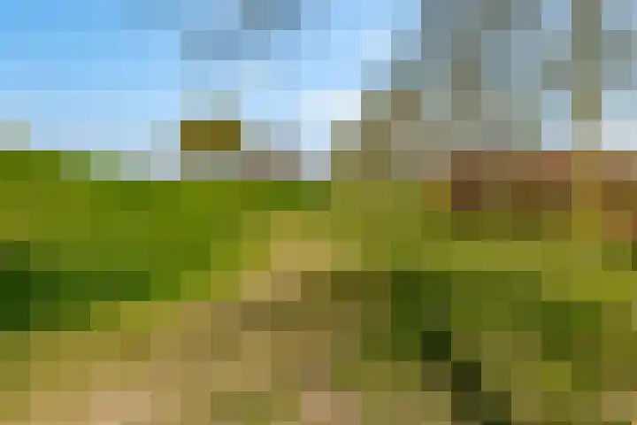 Rijnpolder 56 Houten thumbnail 80