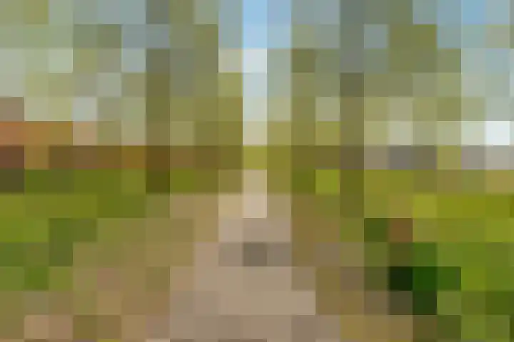 Rijnpolder 56 Houten thumbnail 81