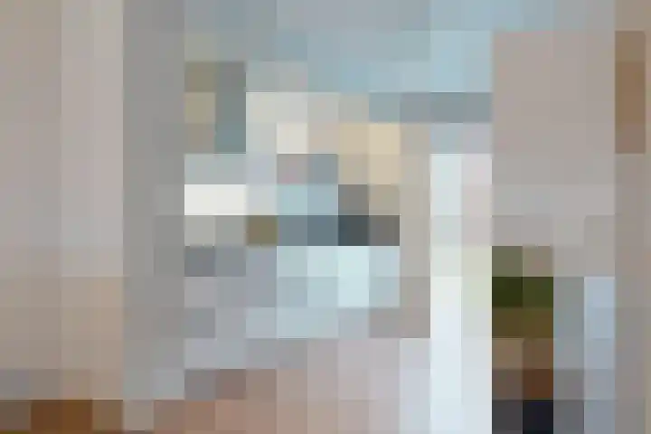 Rijnpolder 60 Houten thumbnail 12