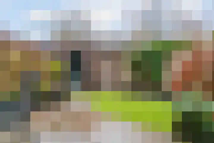 Rijnpolder 60 Houten thumbnail 28