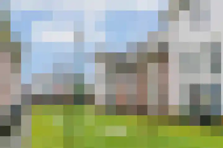 Rijnpolder 60 Houten thumbnail 35