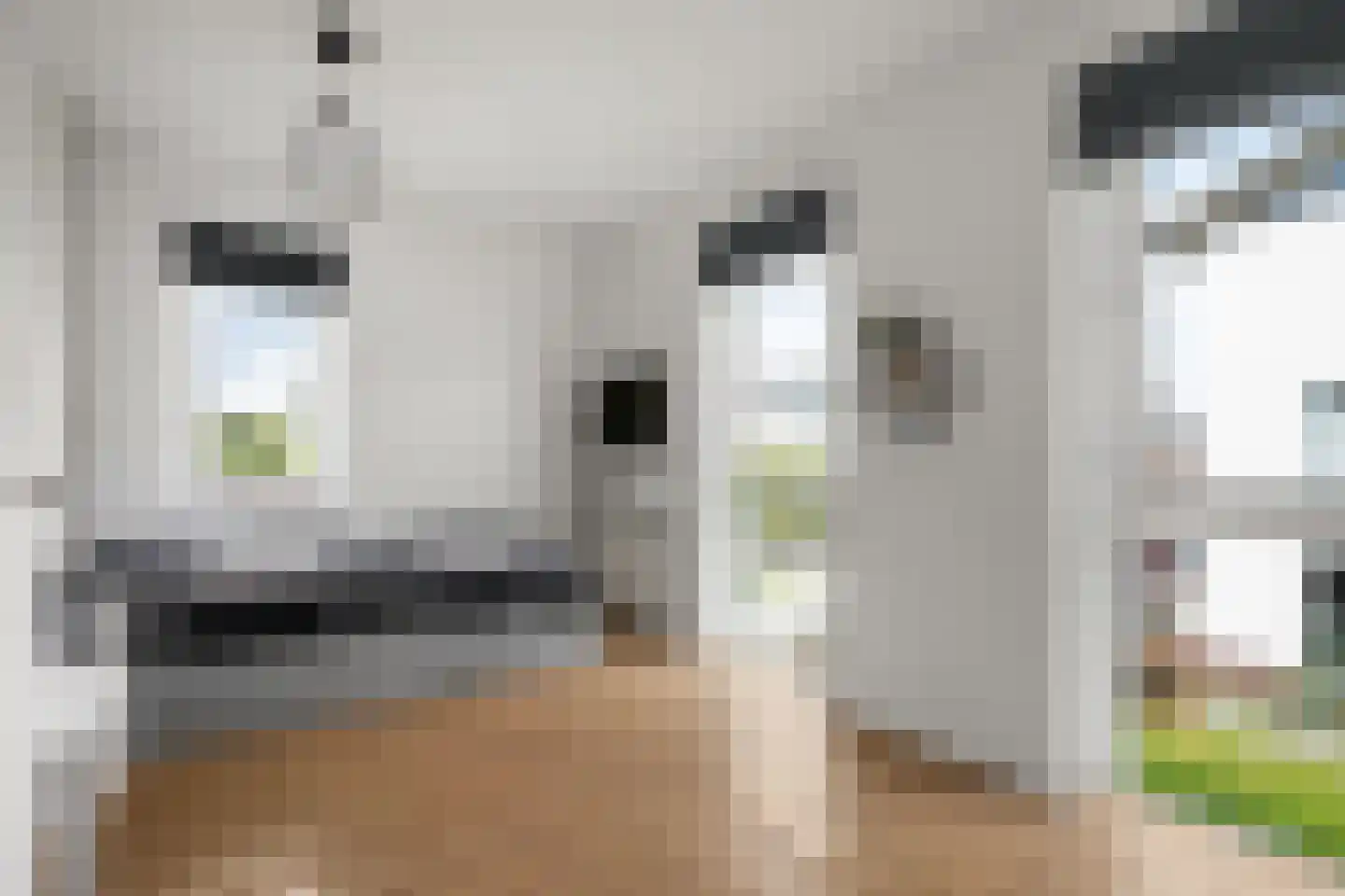 Rijnpolder 84 Houten thumbnail 18