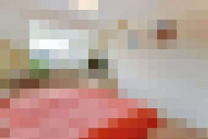 Rijnring 113 Drunen thumbnail 24
