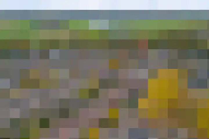 Rijnring 113 Drunen thumbnail 52