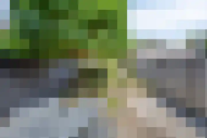 Rijnring 96 Drunen thumbnail 25