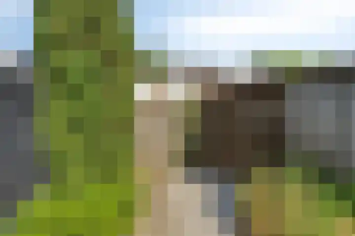 Rijnring 96 Drunen thumbnail 26