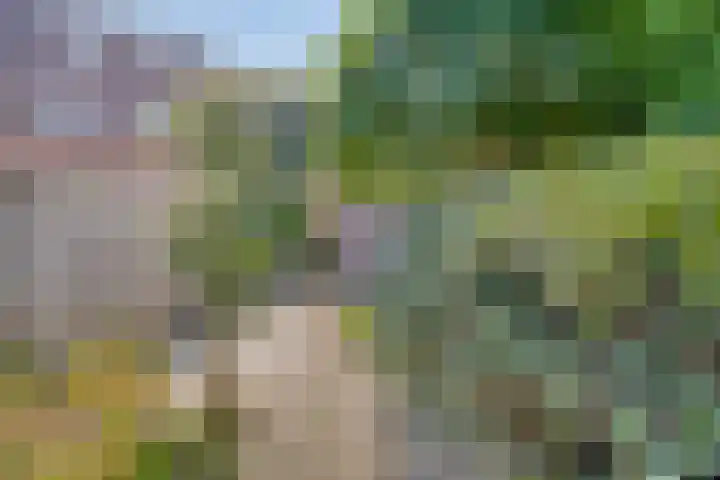Rijnring 96 Drunen thumbnail 27