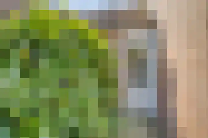 Rijnring 96 Drunen thumbnail 29
