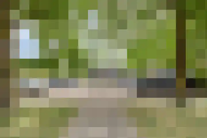 Rijnring 96 Drunen thumbnail 30