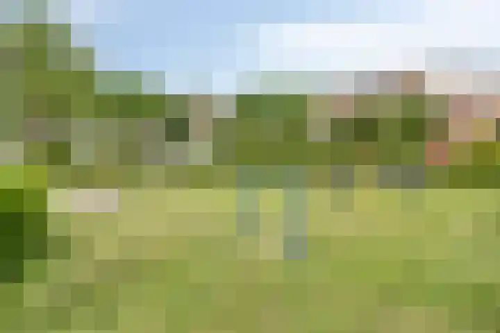 Rijnring 96 Drunen thumbnail 32