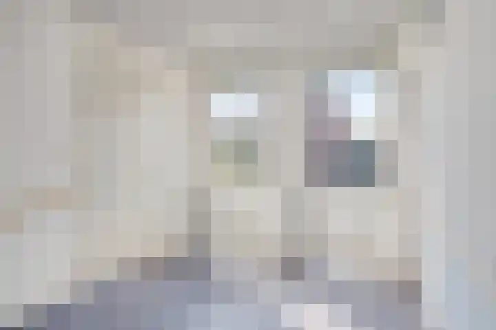 Rijnring 96 Drunen thumbnail 7