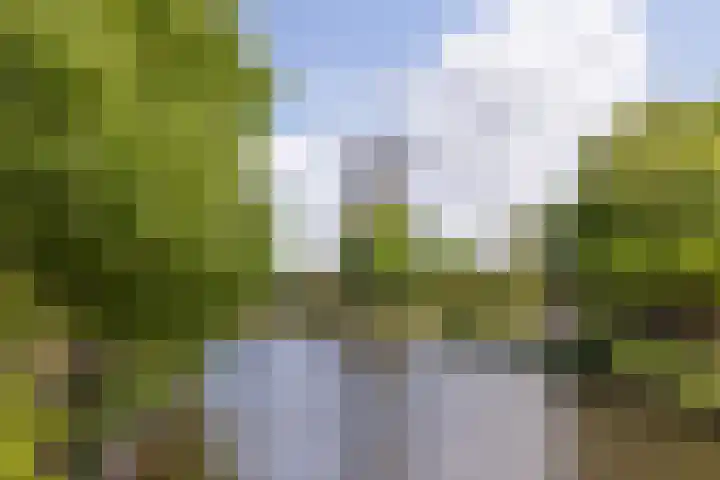 Rijnsburgersingel 1 C Leiden thumbnail 20