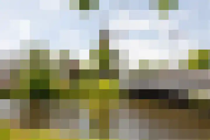 Rijnsburgersingel 1 C Leiden thumbnail 22
