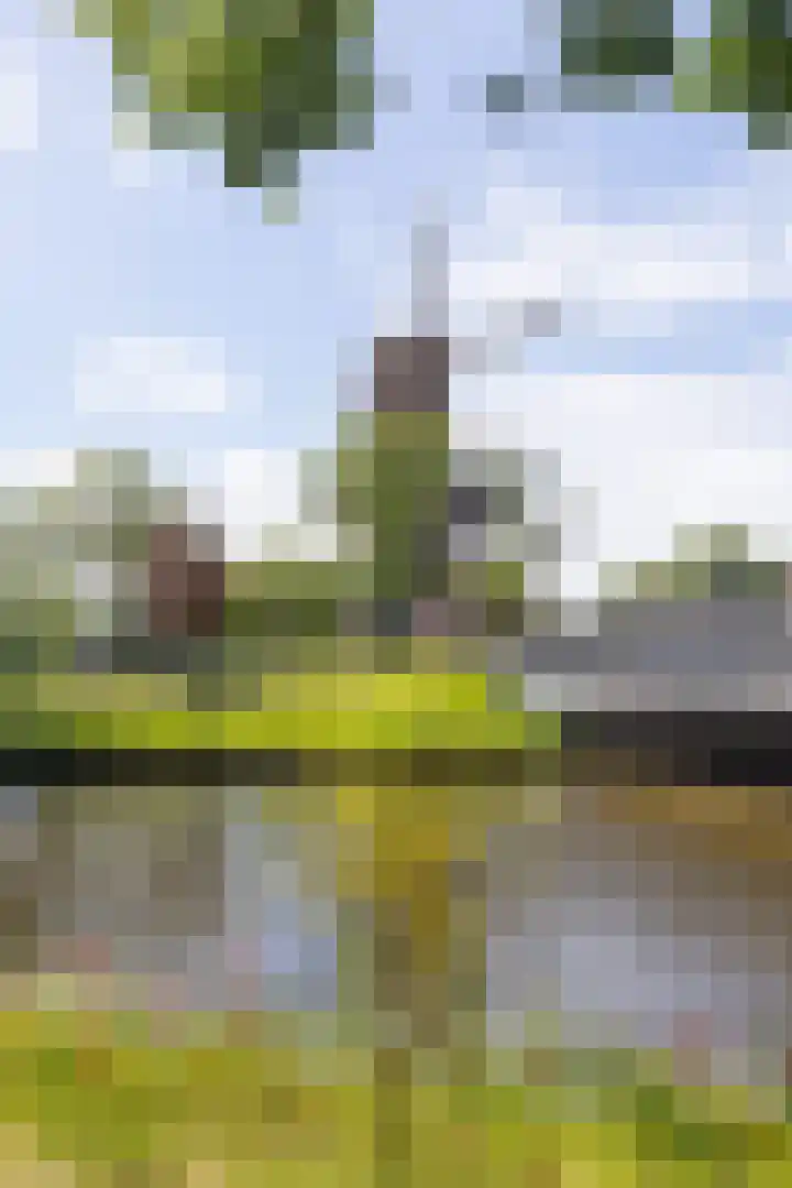 Rijnsburgersingel 1 C Leiden thumbnail 23