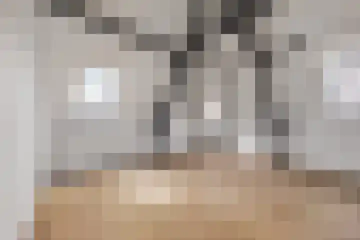 Rijnsburgersingel 1 C Leiden thumbnail 7