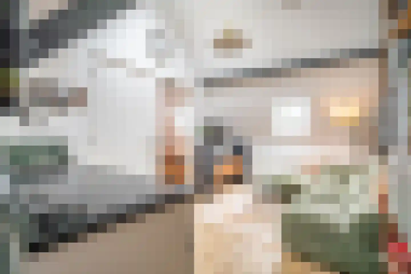 Rijnsburgersingel 1 D Leiden thumbnail 23