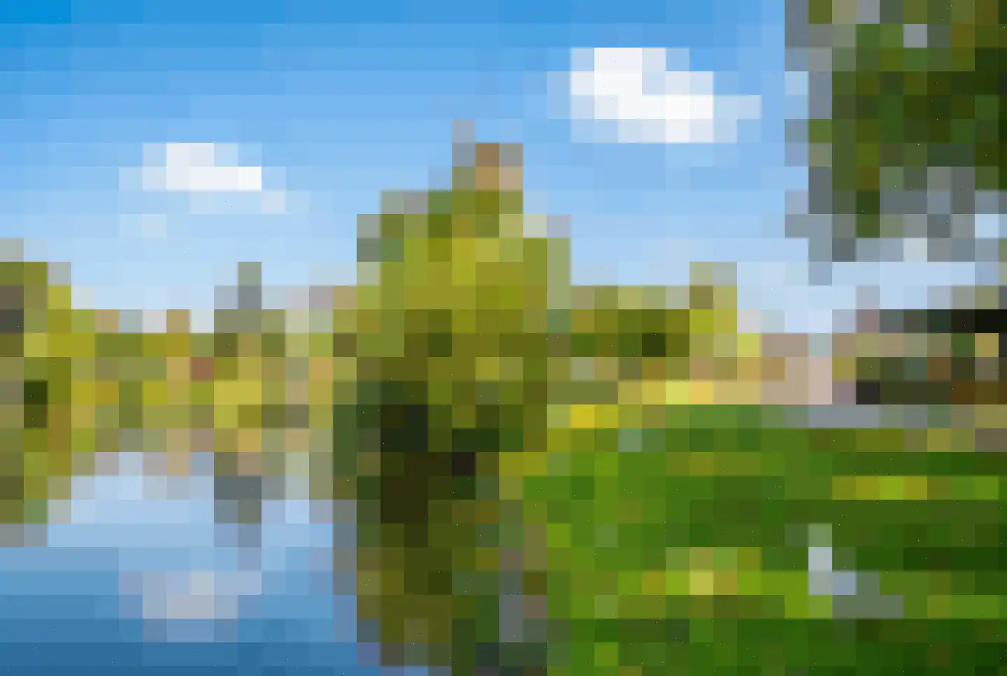 Rijnsburgersingel 1 D Leiden thumbnail 36