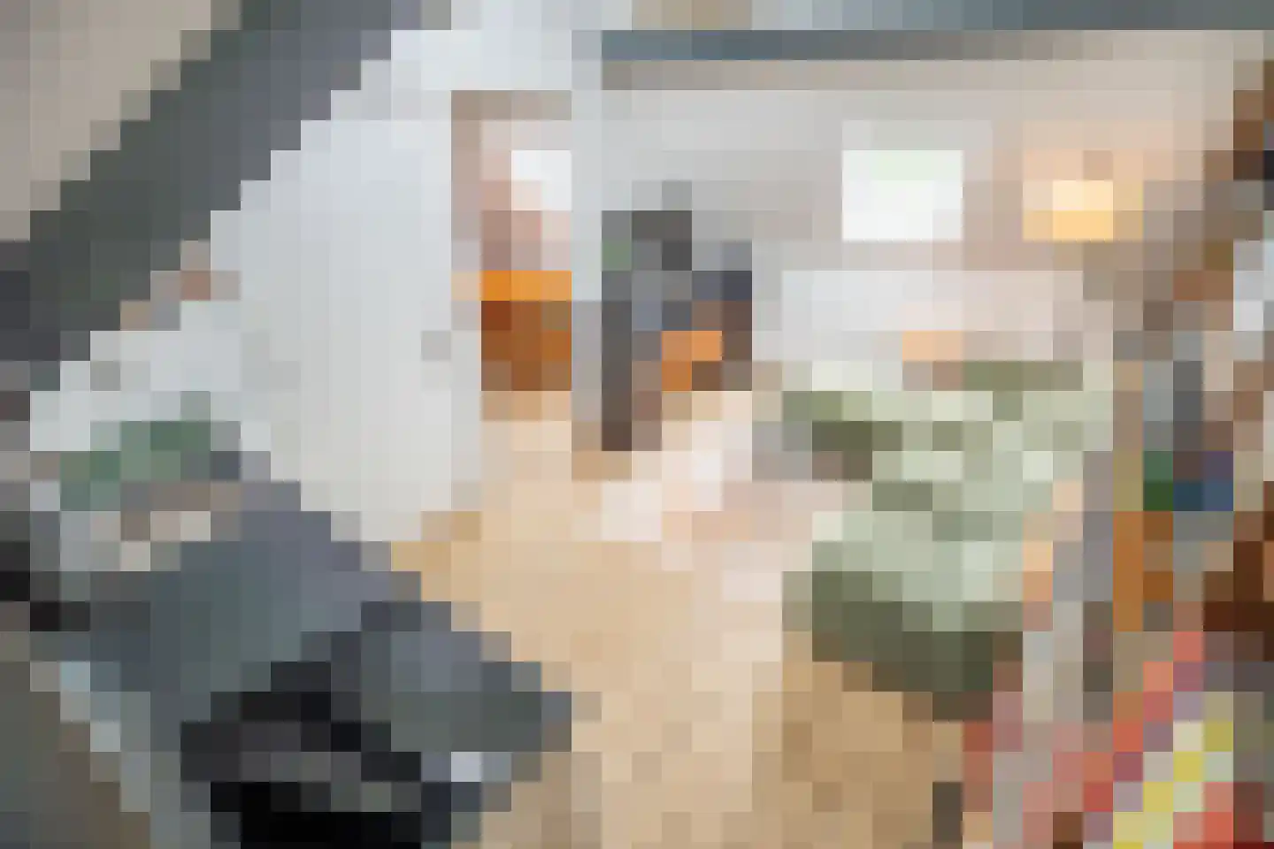 Rijnsburgersingel 1 D Leiden thumbnail 4