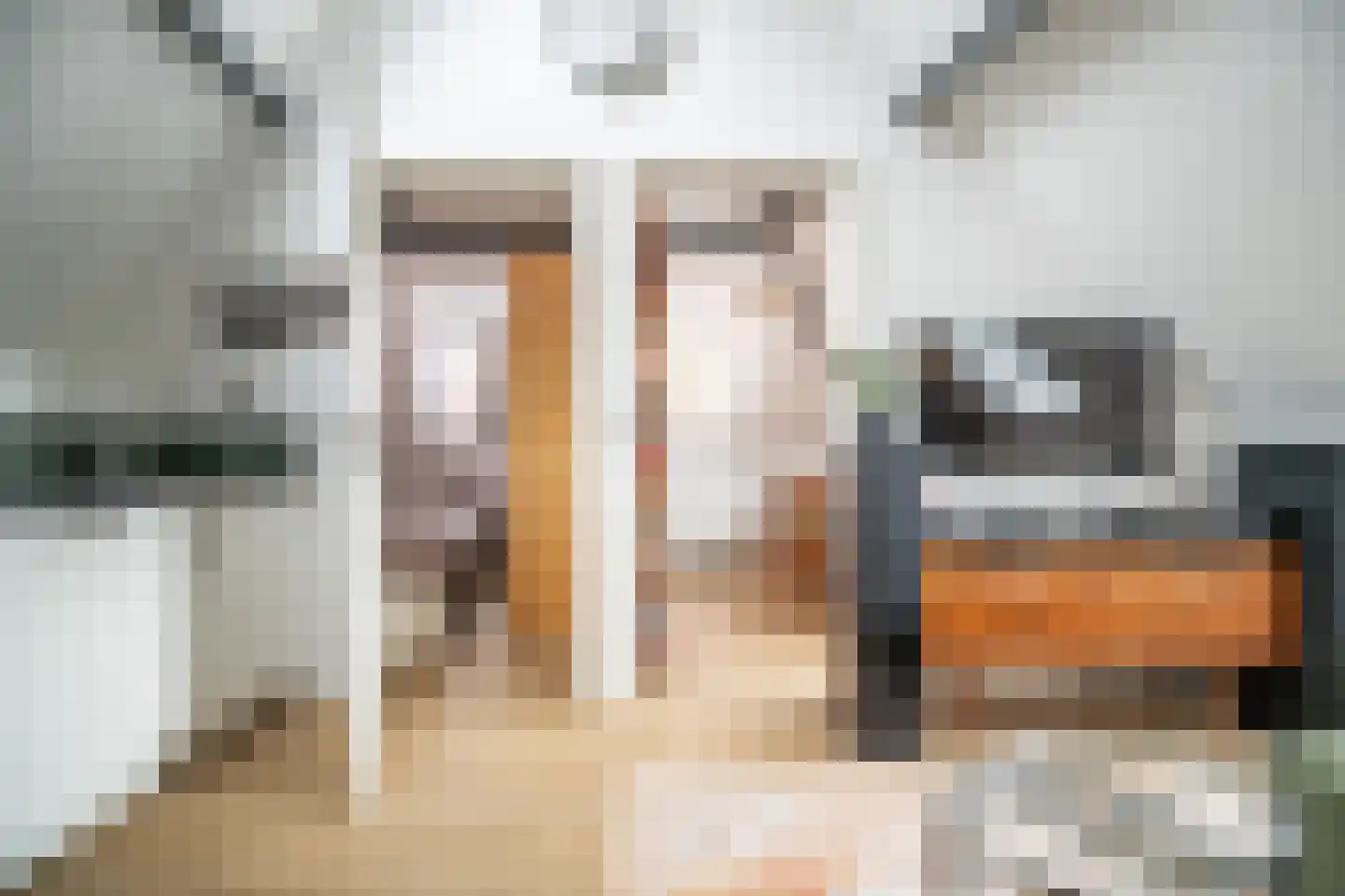 Rijnsburgersingel 1 D Leiden thumbnail 5