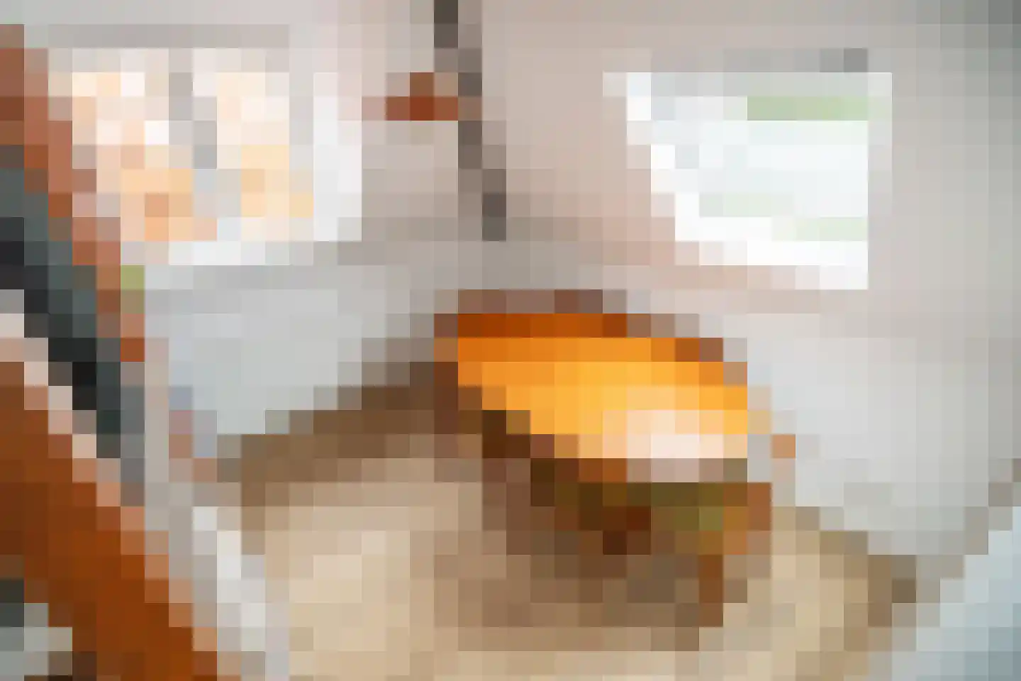 Rijnsburgersingel 1 D Leiden thumbnail 6