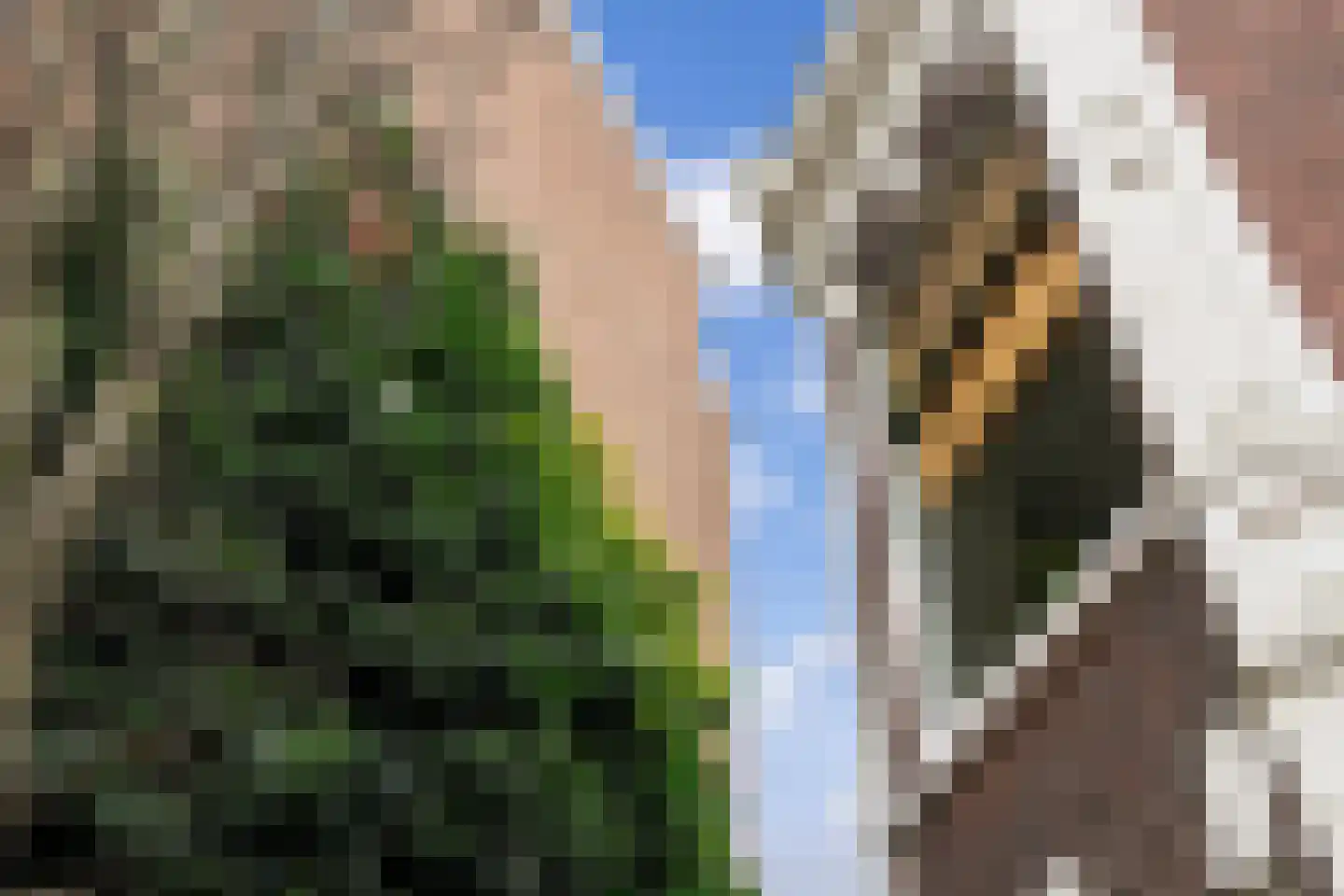 Rijnsburgersingel 42 Leiden thumbnail 11