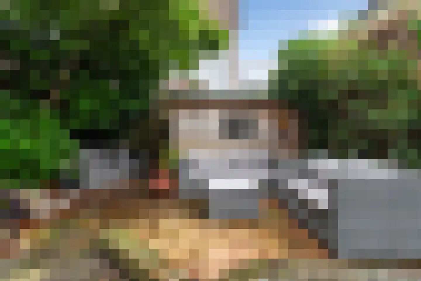 Rijnsburgersingel 42 Leiden thumbnail 40